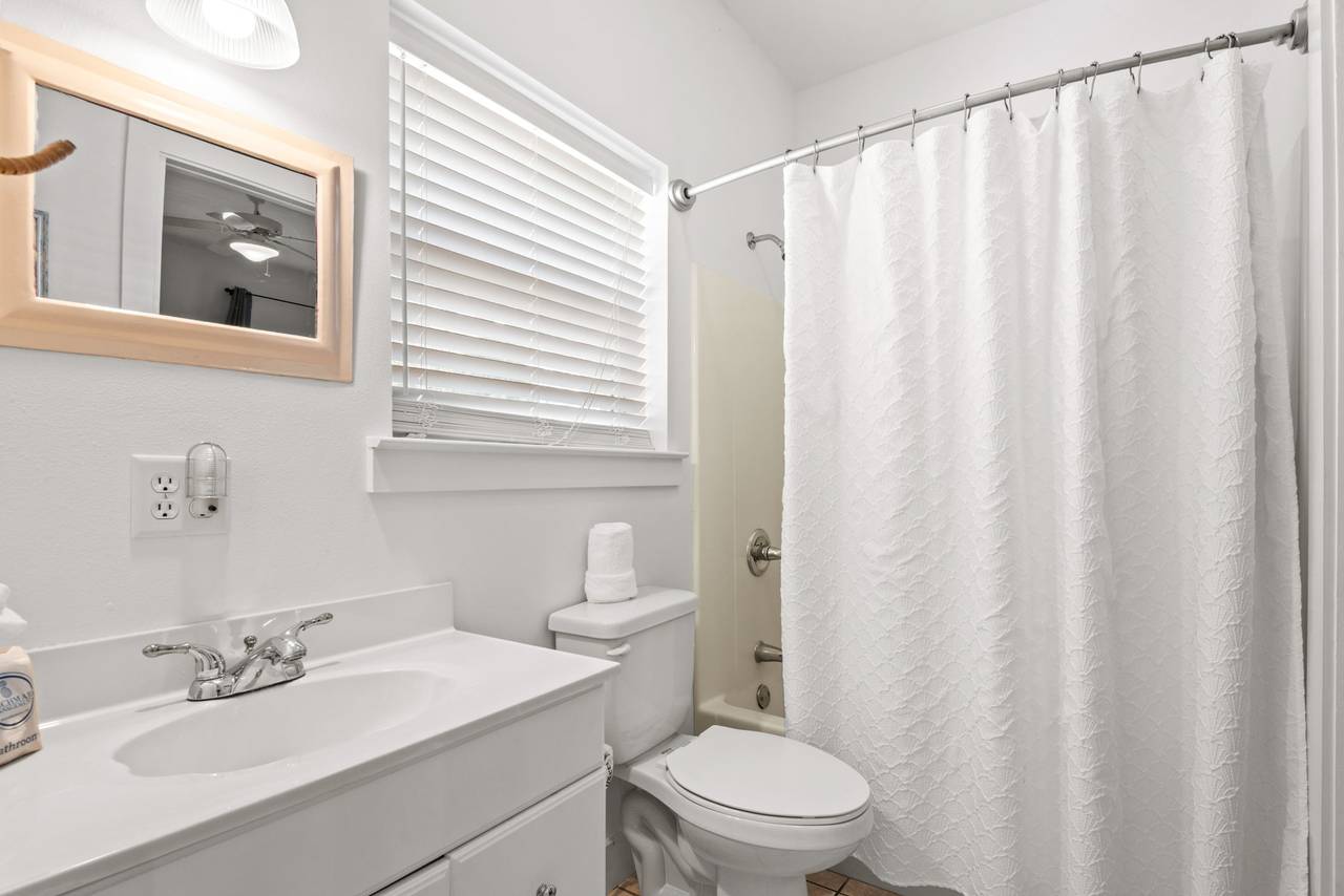 Sugar Paws Sugar Paws