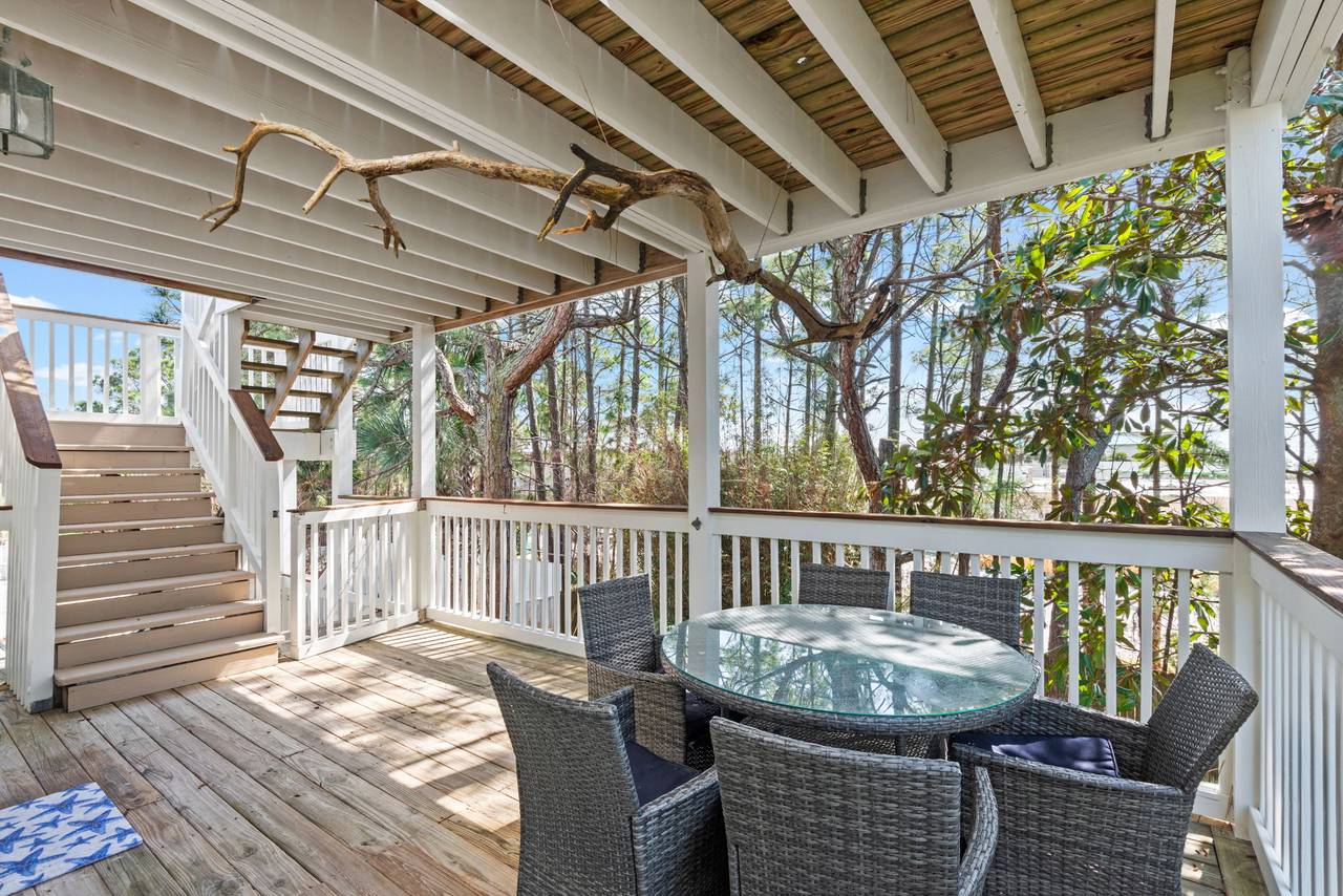 Sugar Paws Sugar Paws