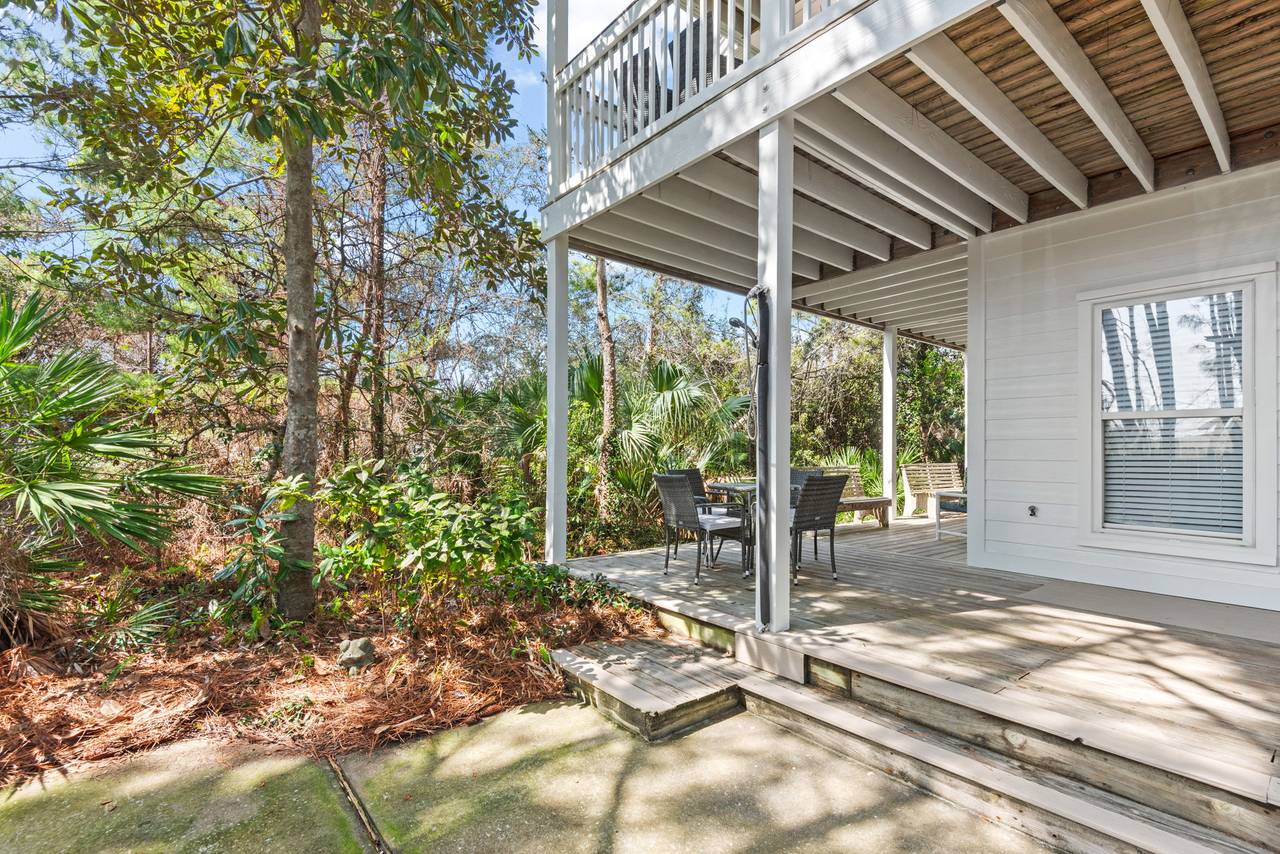 Sugar Paws Sugar Paws