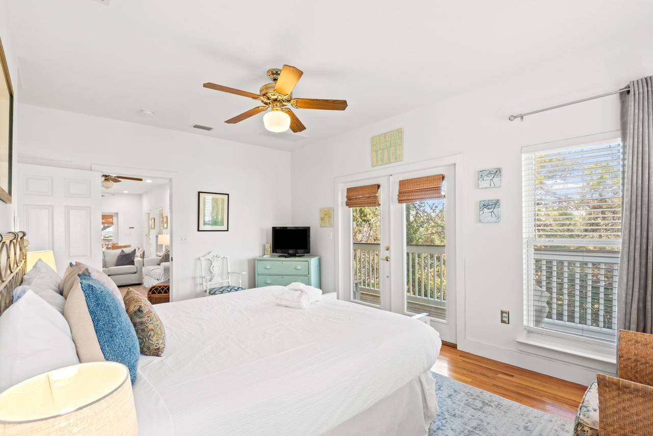 Sugar Paws Sugar Paws