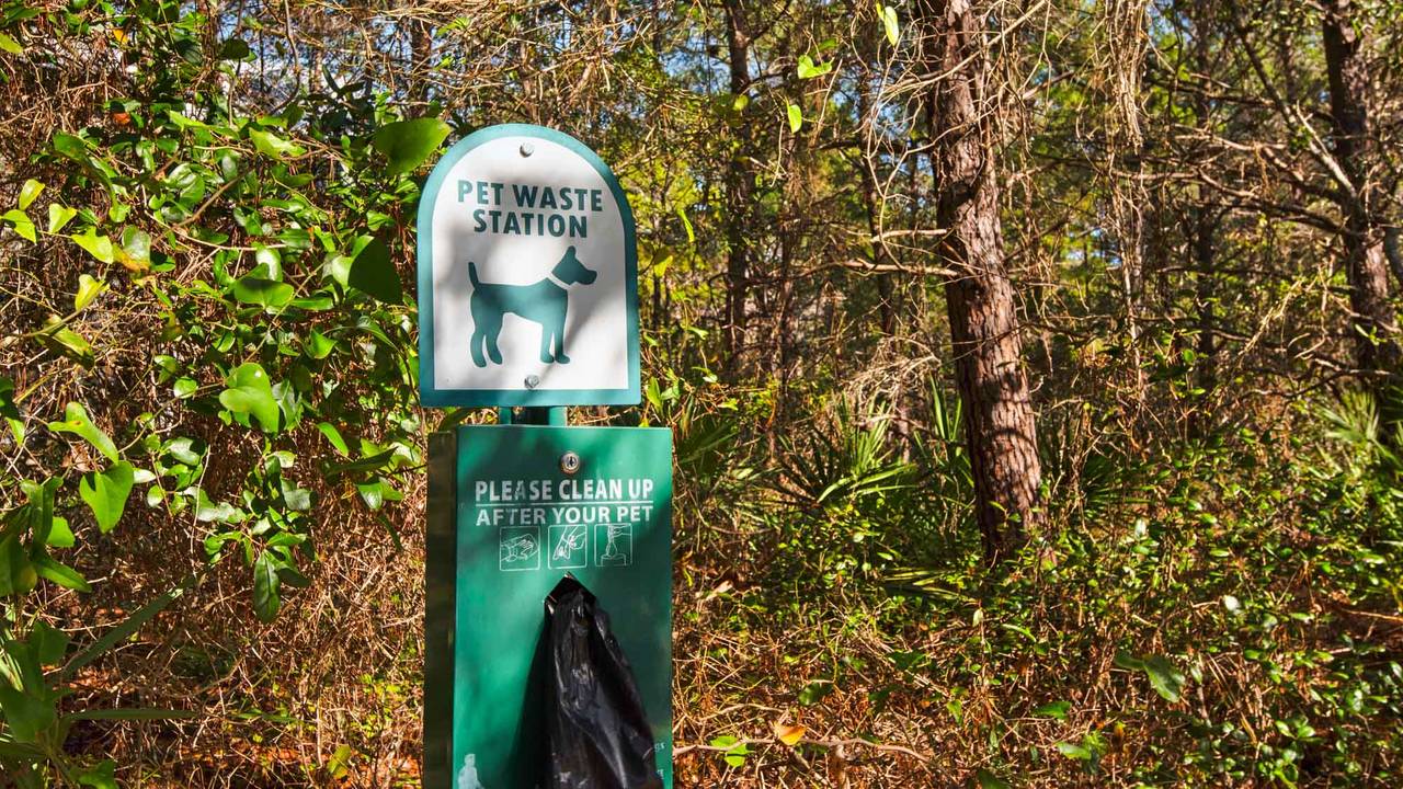 Villas at Seagrove Grounds & Amenities Villas at Seagrove Grounds & Amenities