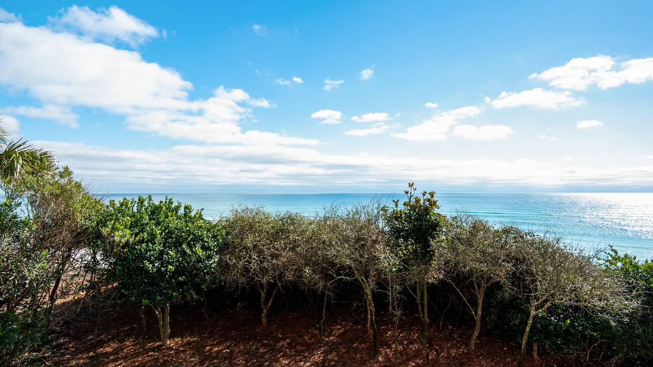 Monterey A201 Monterey A201