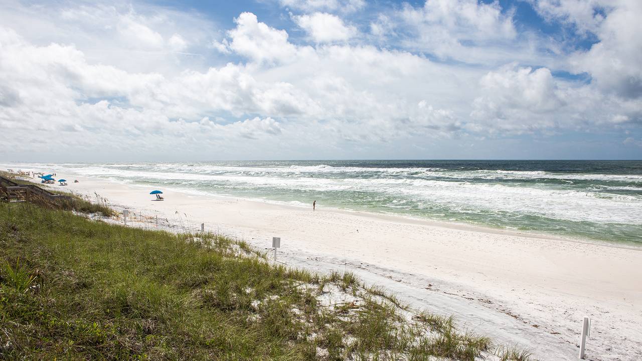 Seagrove by the Sea Seagrove by the Sea