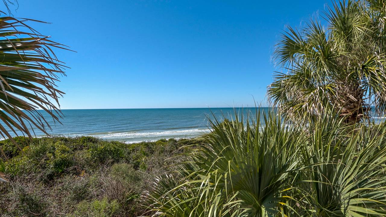 Beautiful Gulf of Mexico Beautiful Gulf of Mexico