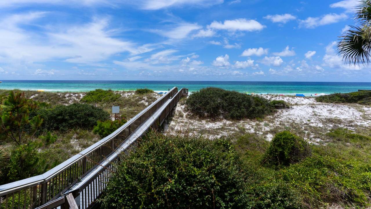 Sea Haunts 1A Sea Haunts 1A