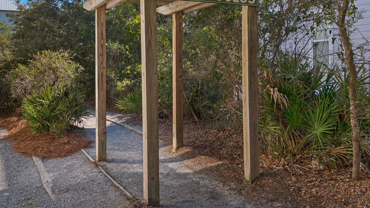 Emerald Rose Emerald Rose