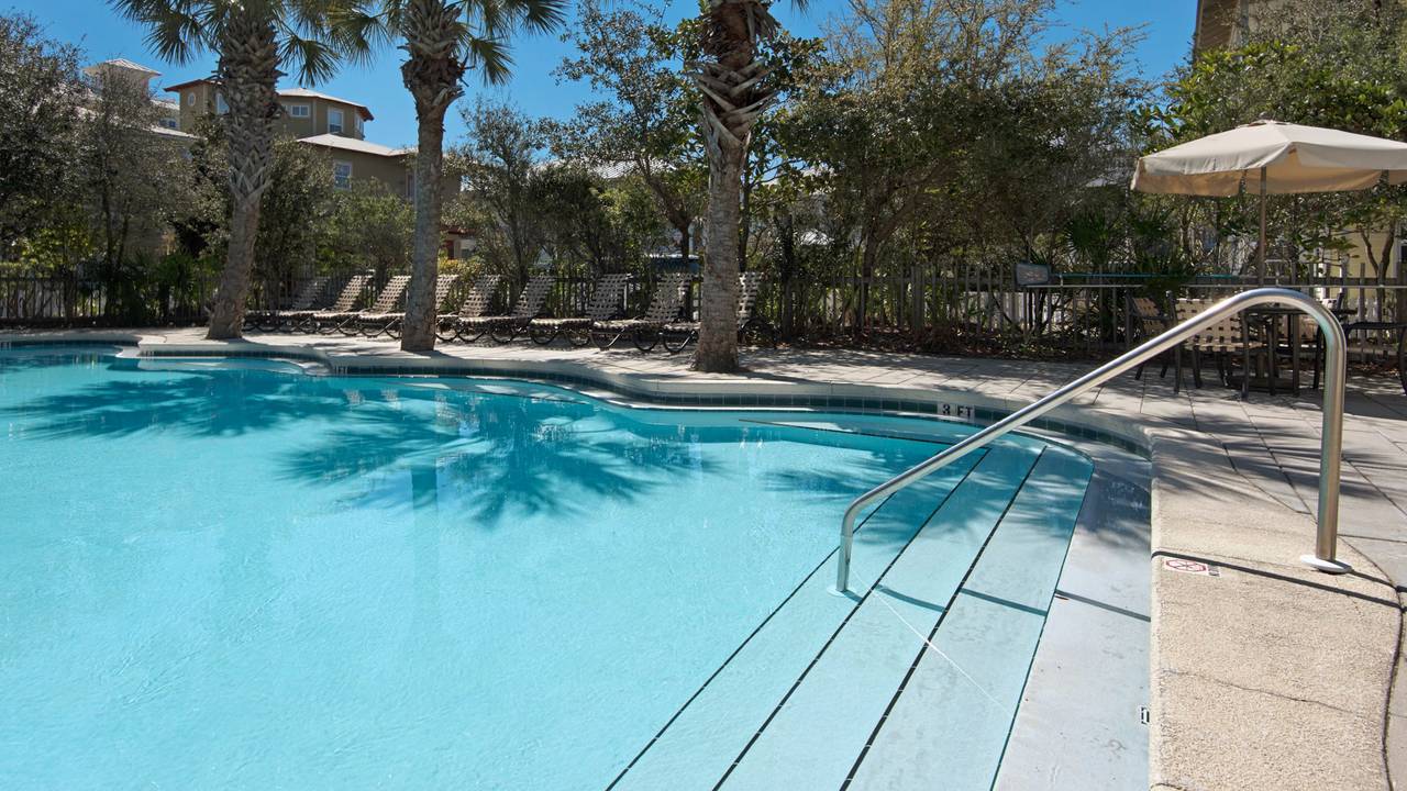 Emerald Rose Emerald Rose