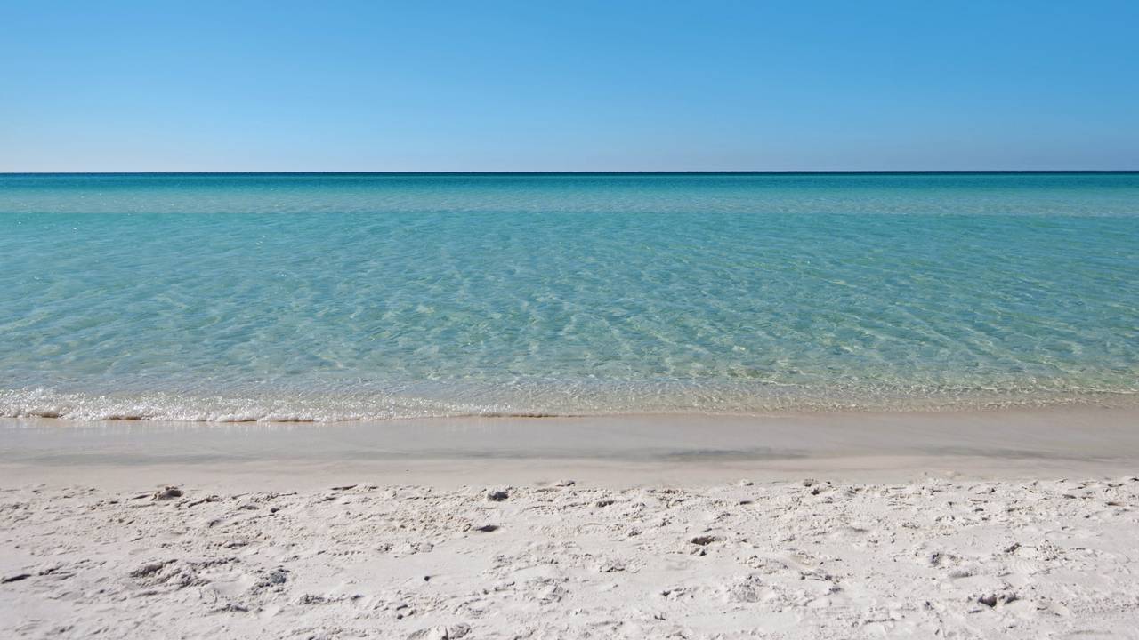 Emerald Rose Emerald Rose