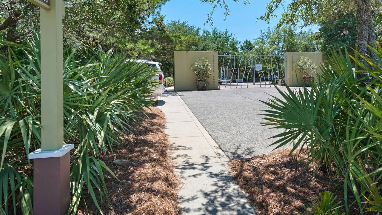 Emerald Rose Emerald Rose