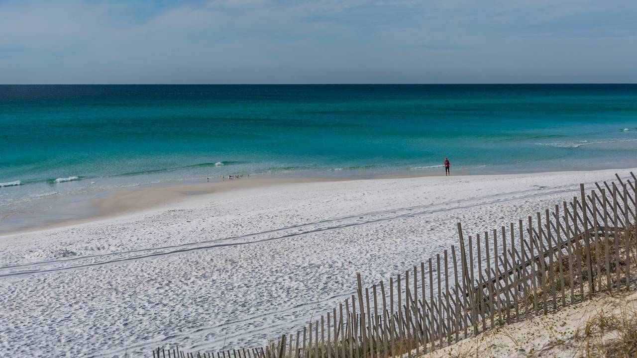 Dune Allen Dune Allen