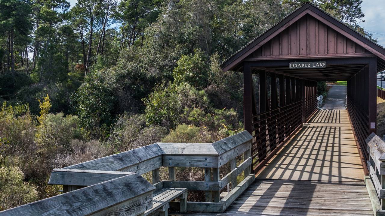 Dune Allen Dune Allen