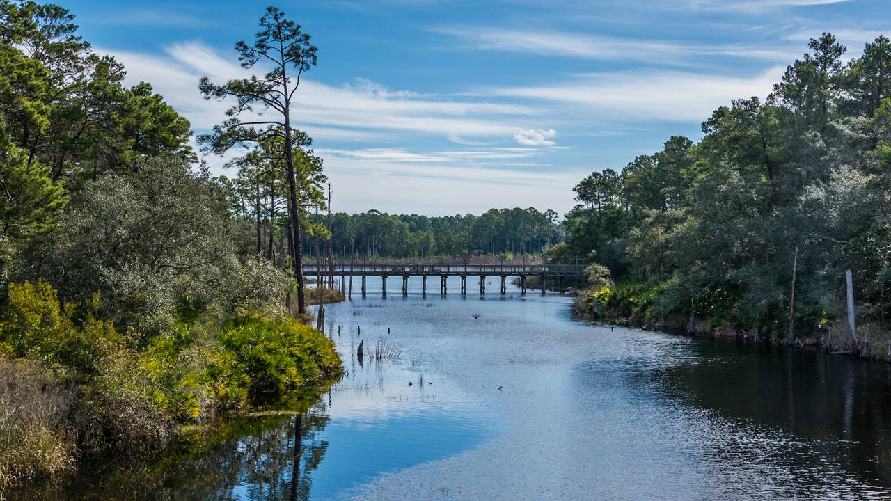 Dune Allen Dune Allen