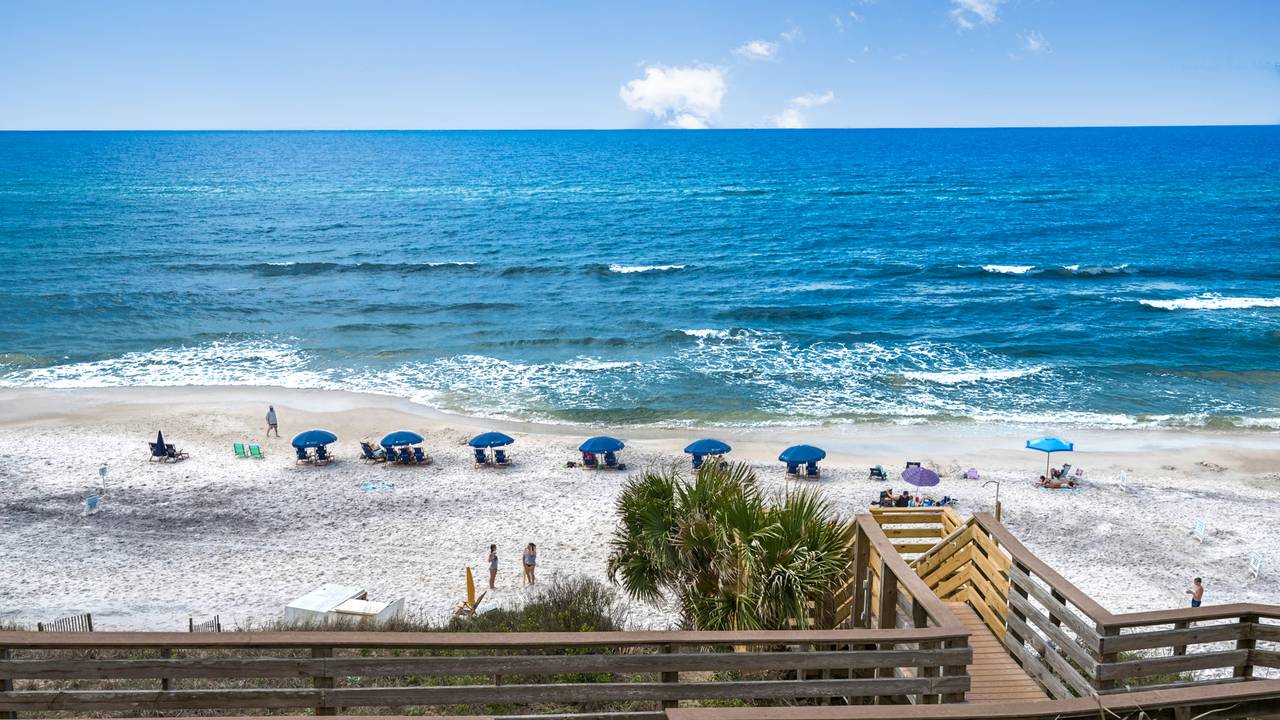 Mistral 11 Mistral 11