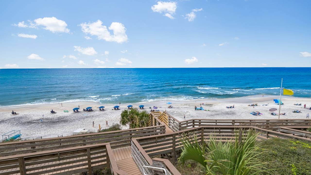 Mistral 11 Mistral 11