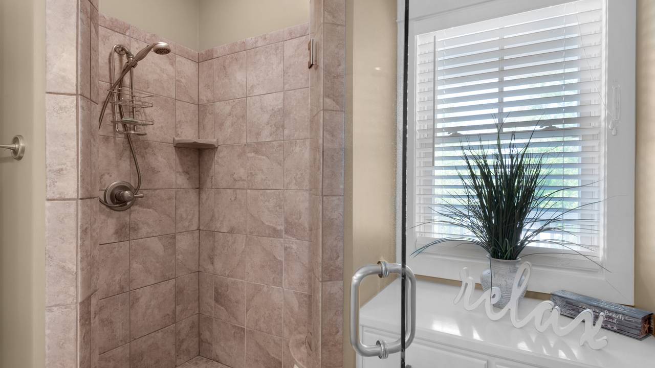 The Grayt Life The Grayt Life