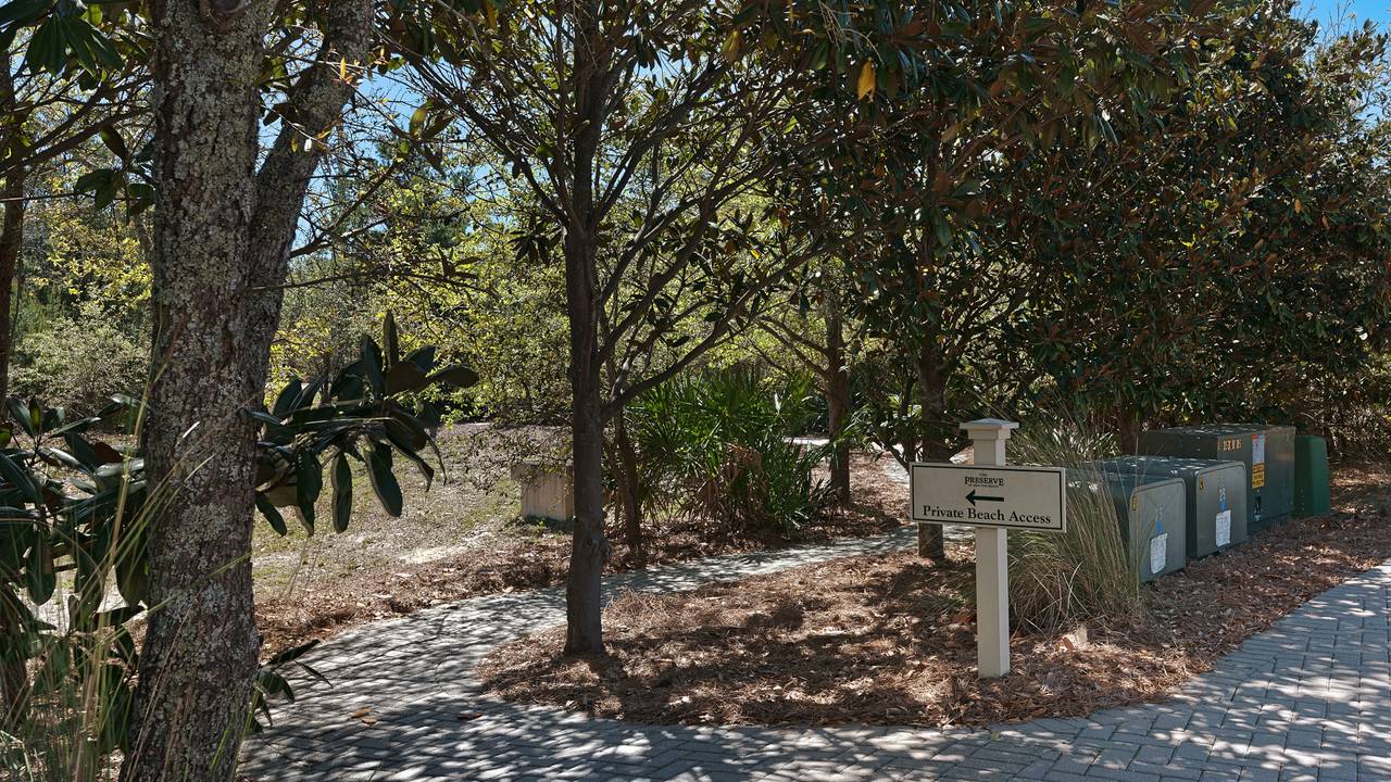 The Grayt Life The Grayt Life