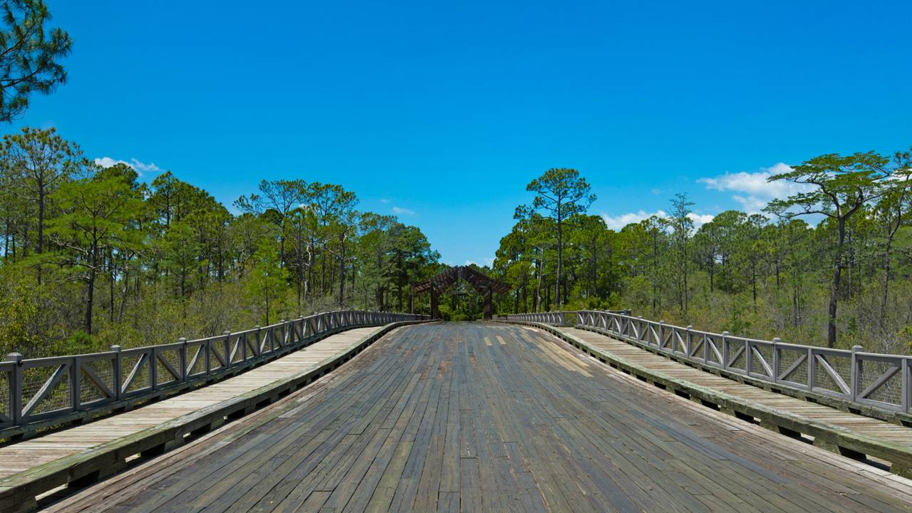 NatureWalk NatureWalk