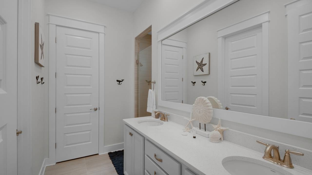 Dune Dreaming Dune Dreaming