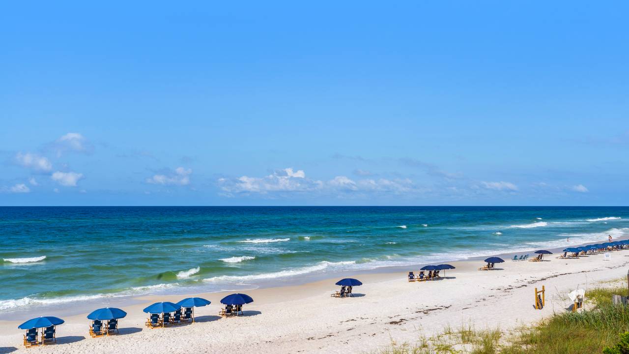 By the Wave Beach Area By the Wave Beach Area