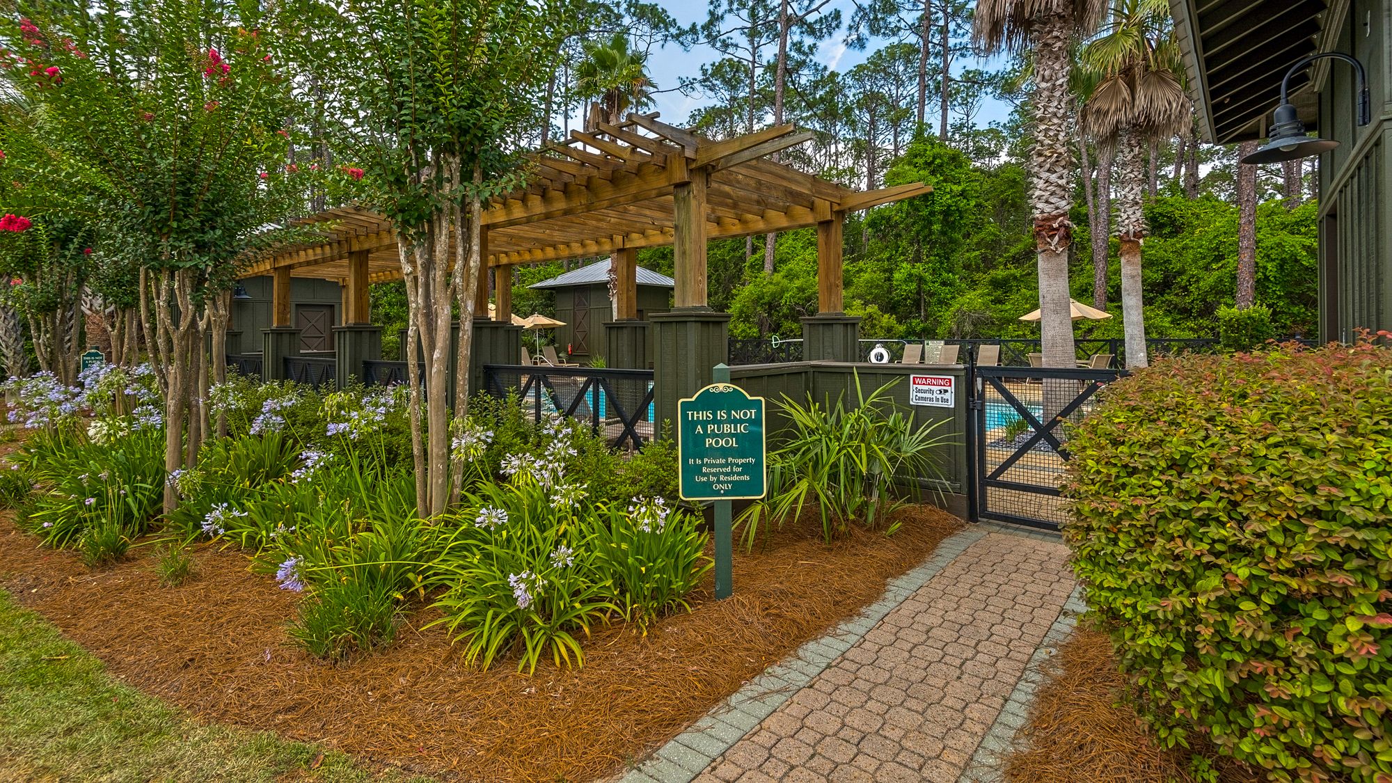 Treetop Village Amenities