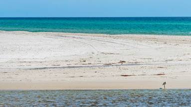 Inlet Beach Inlet Beach
