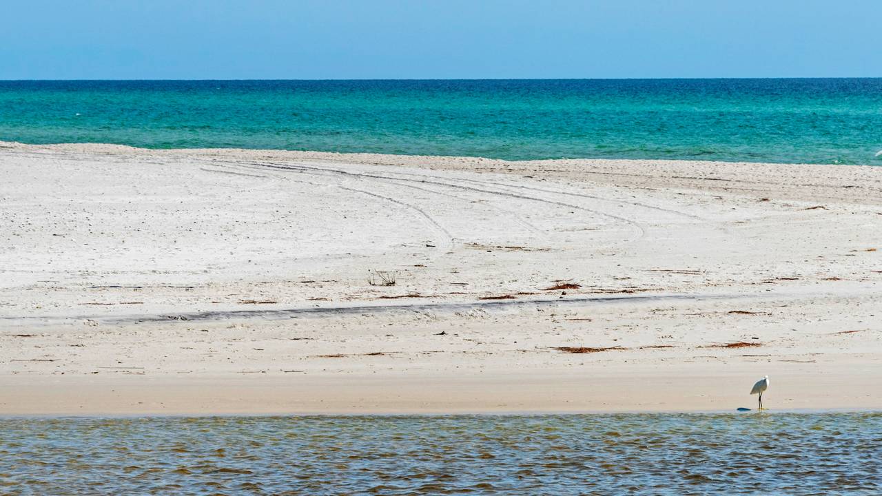 Inlet Beach Inlet Beach