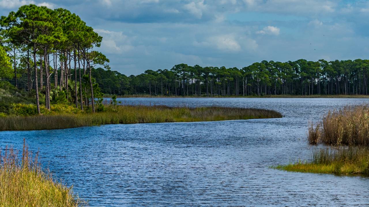 Grayton Beach Grayton Beach