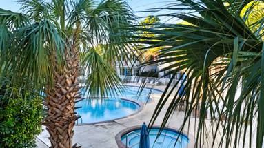 Salty Paws Bungalow Pool view from balcony Salty Paws Bungalow Pool view from balcony