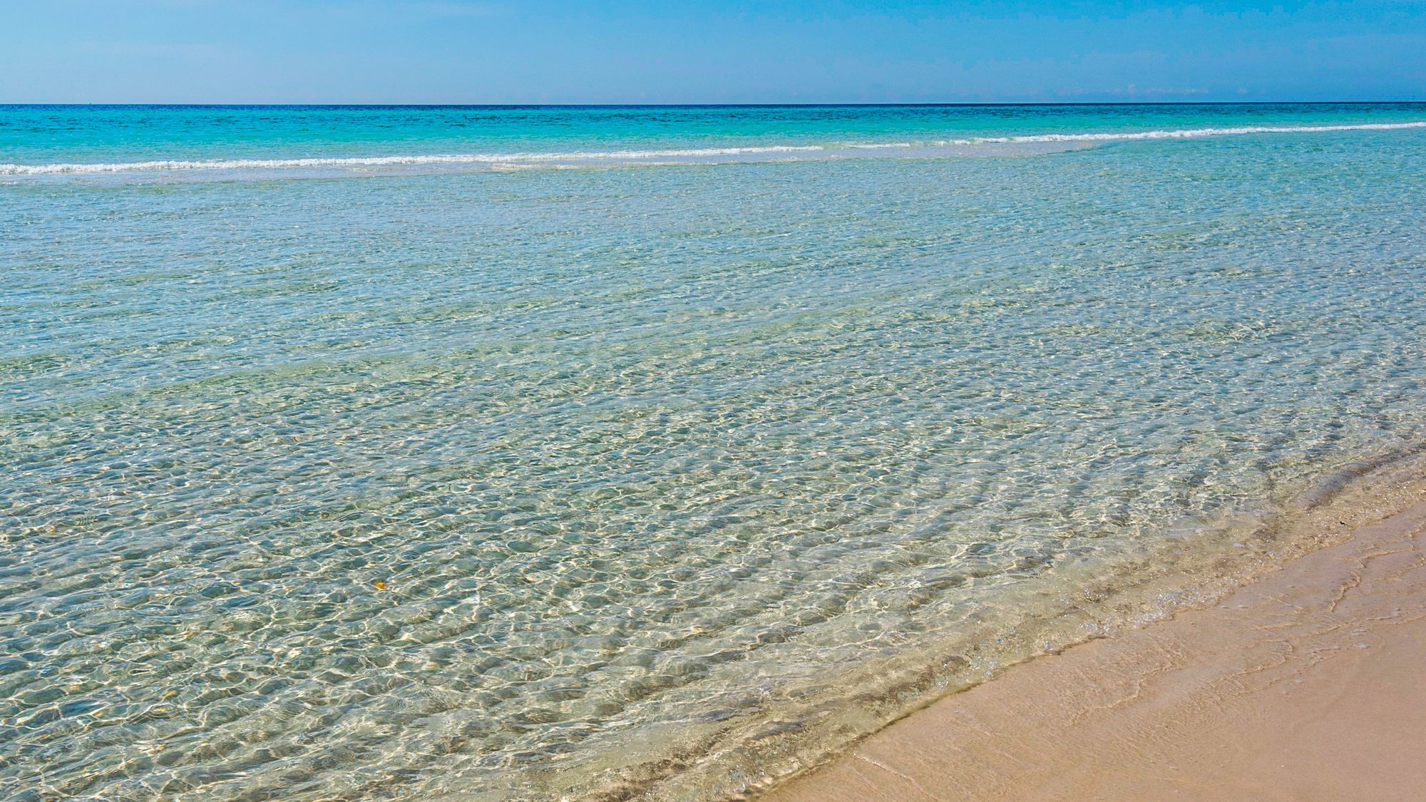 Bungalows at Seagrove Grounds and Amenities