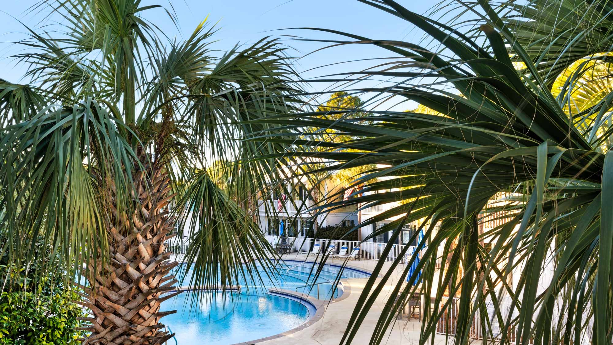 Salty Paws Bungalow Pool view from balcony