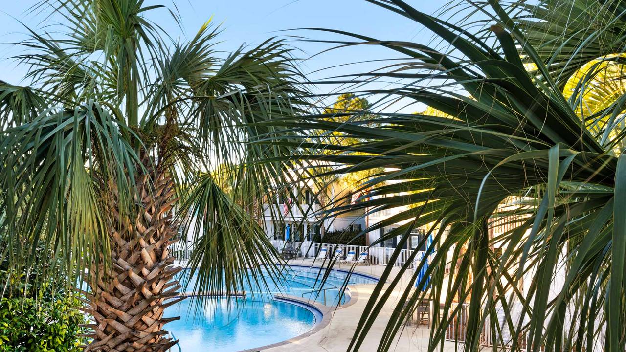 Salty Paws Bungalow Pool view from balcony Salty Paws Bungalow Pool view from balcony