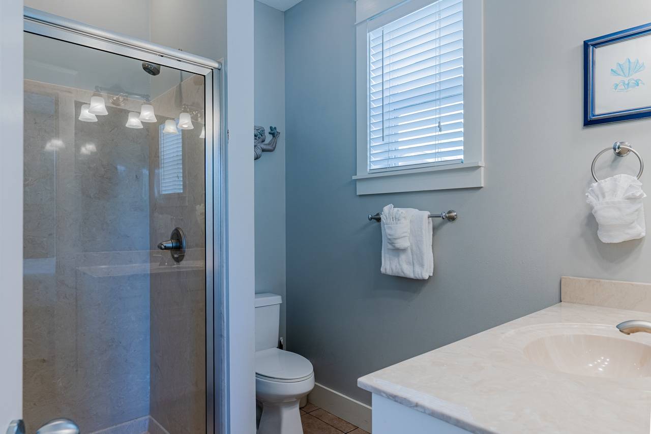 Blissful Breeze Blissful Breeze