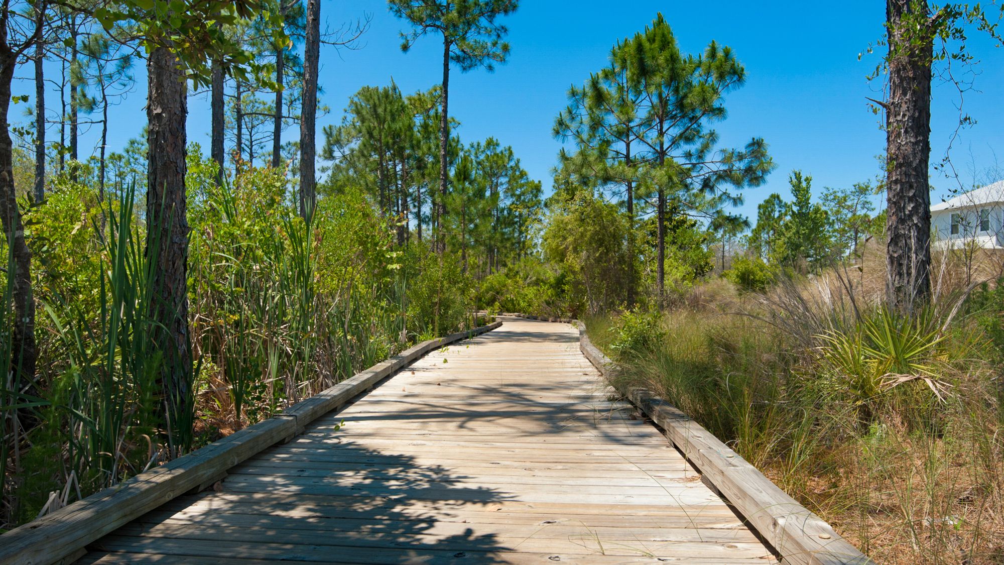 NatureWalk Grounds and Amenities