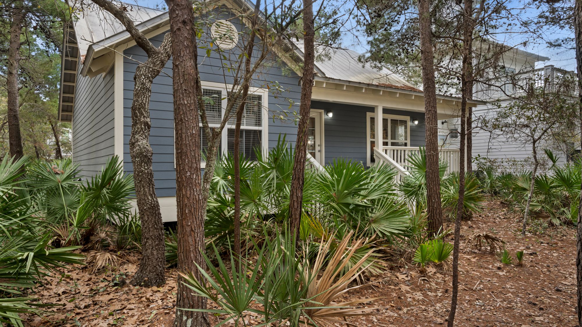 Palmetto Cottage Back of House