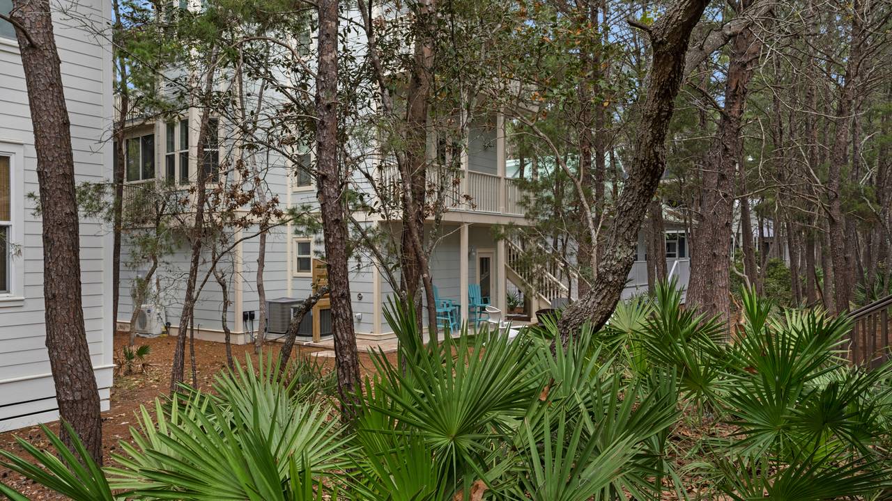 Palmetto Cottage Back of House Palmetto Cottage Back of House