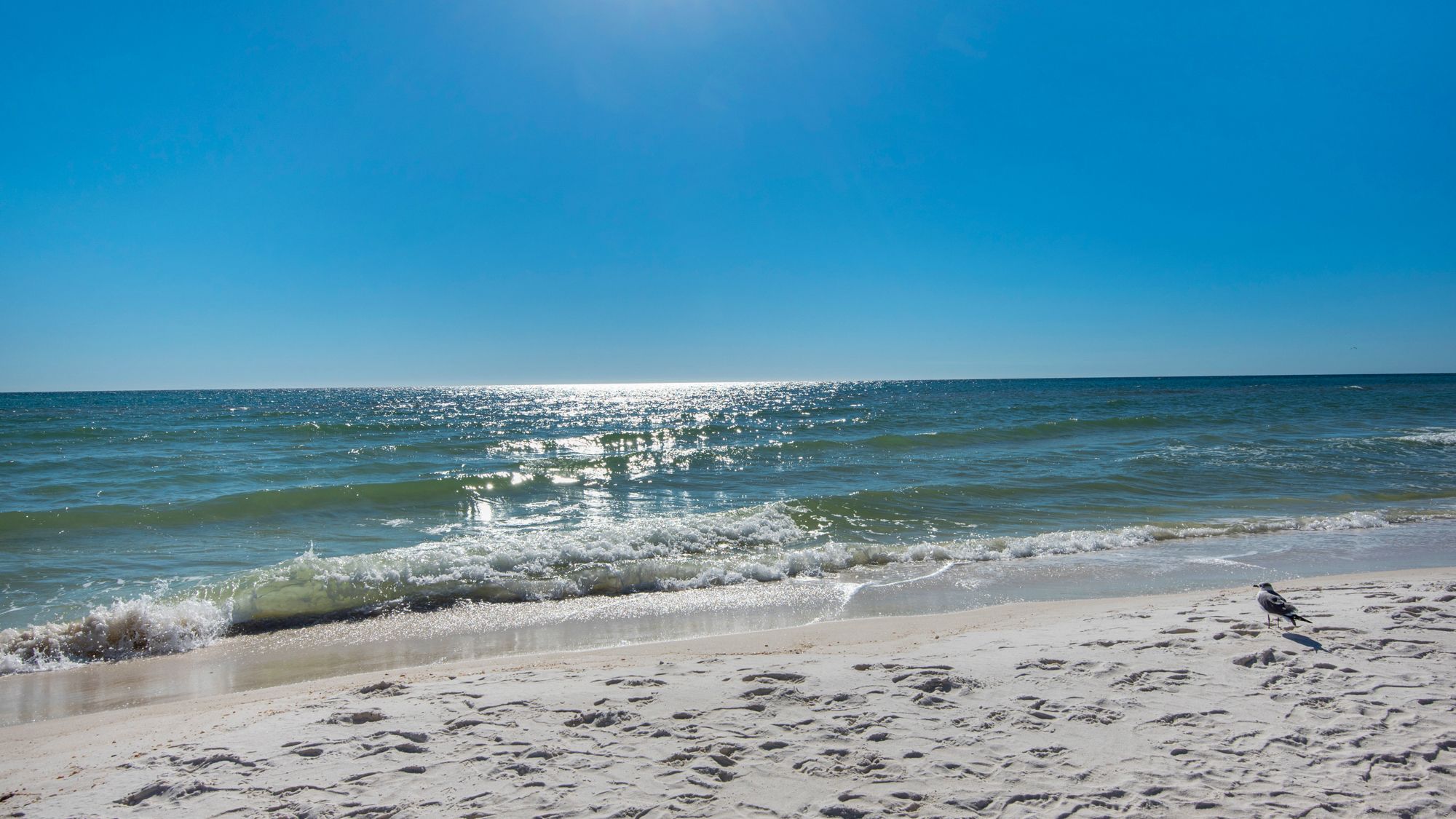 Shores of Panama Beach