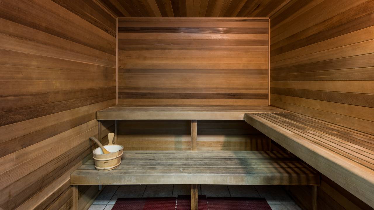 ORF1709 Sauna ORF1709 Sauna