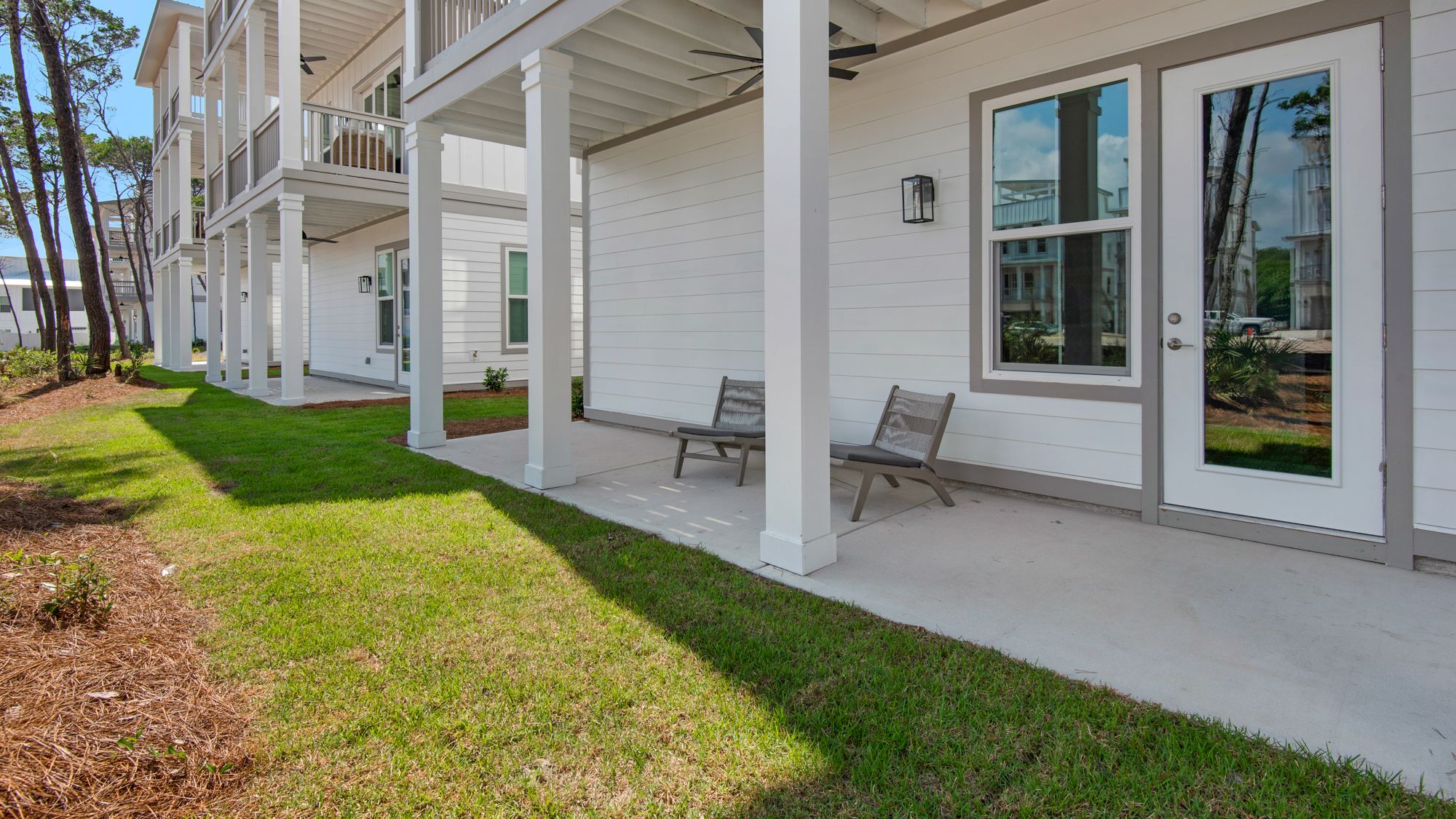 Majestic Palm Backyard