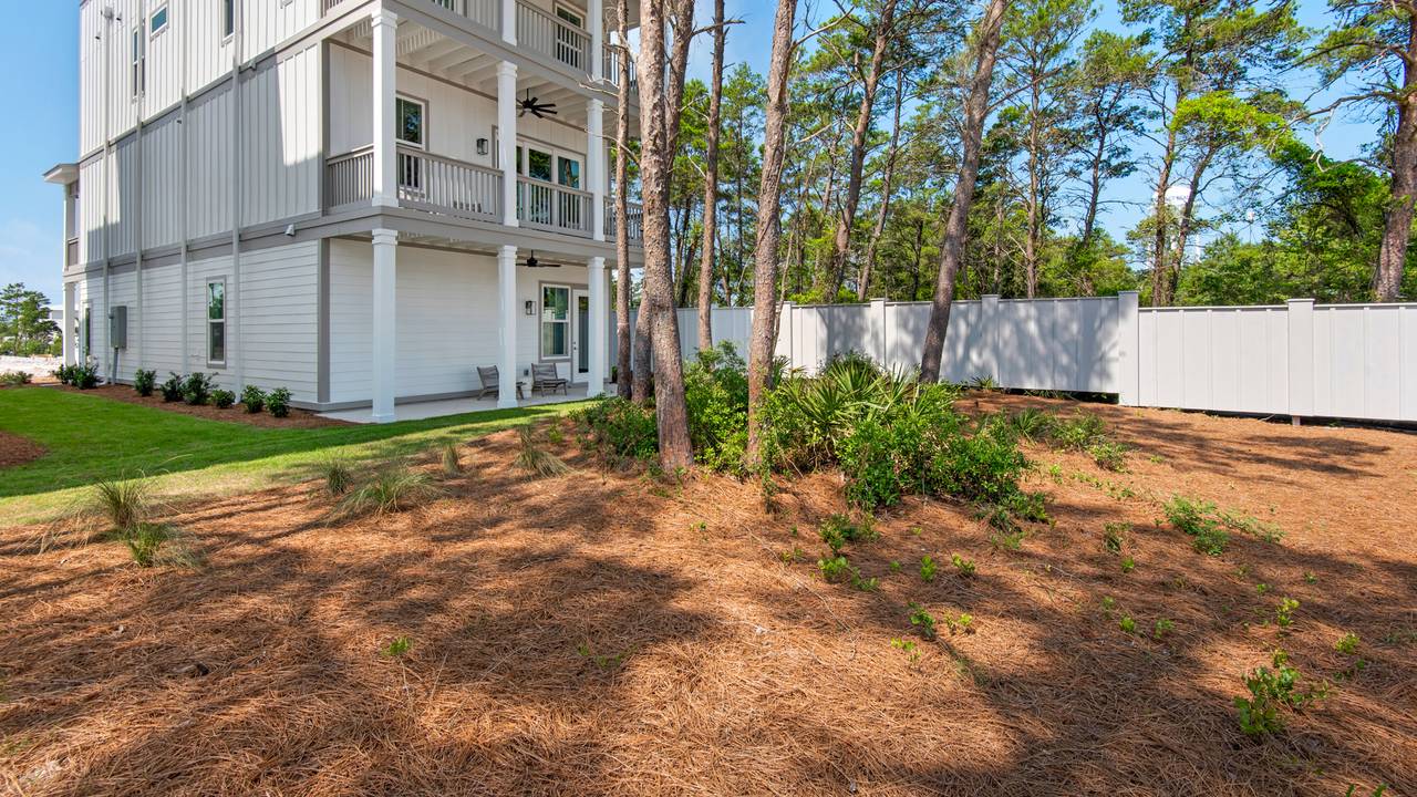 Majestic Palm Backyard Majestic Palm Backyard