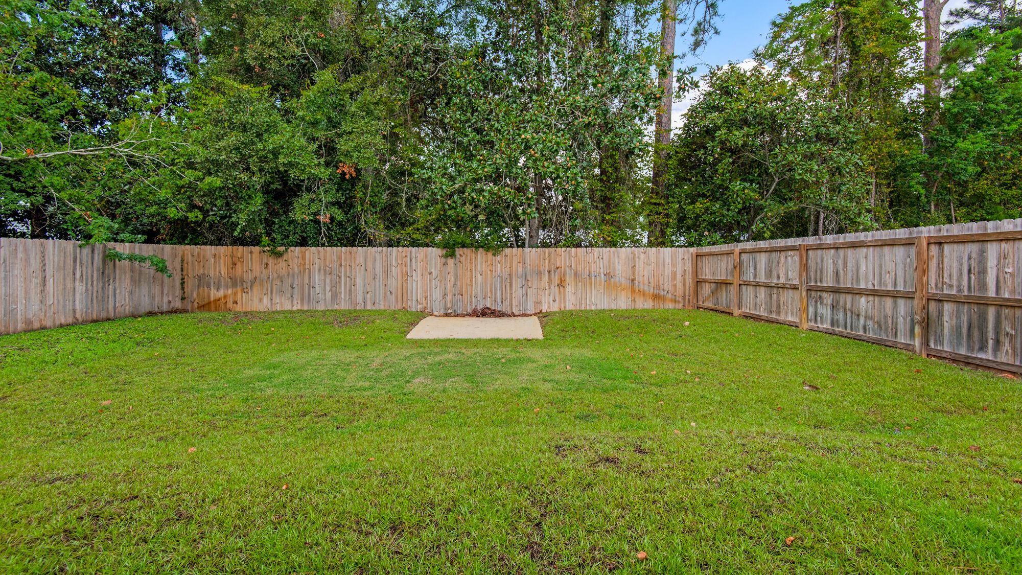 Boat and Beach Backyard