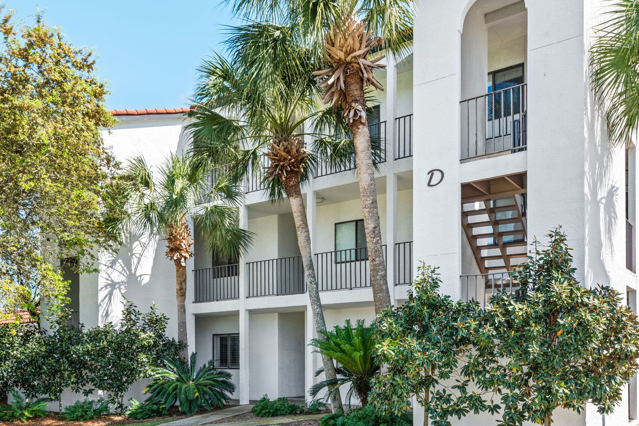 Palms D2