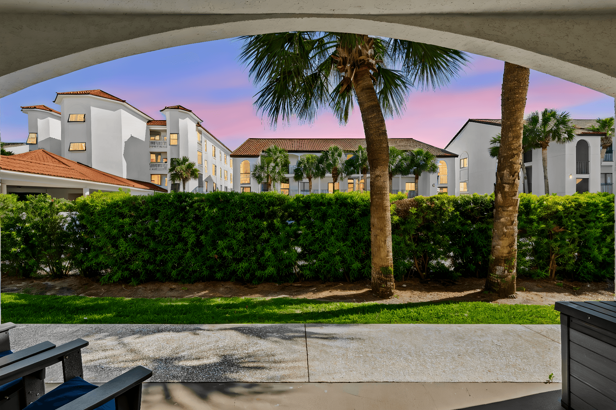 Palms D2
