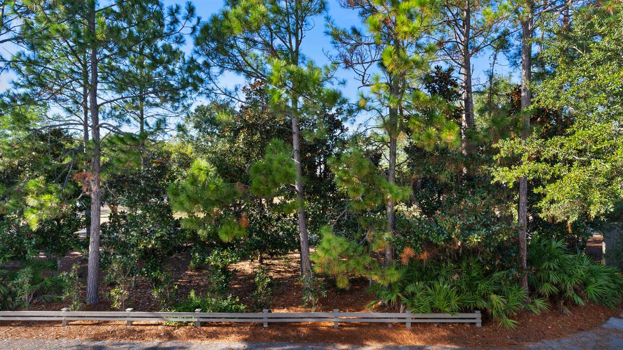 Friday on my Mind Exterior Friday on my Mind Exterior