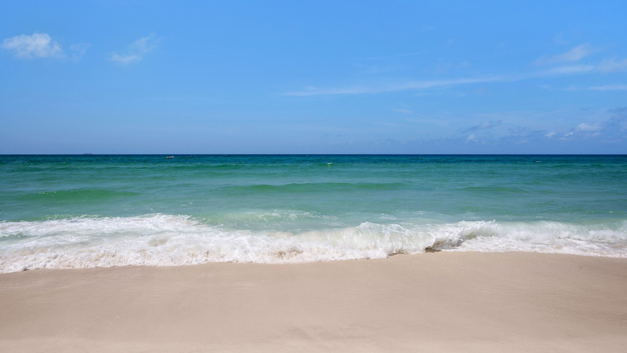 Regency Towers Grounds & Amenities