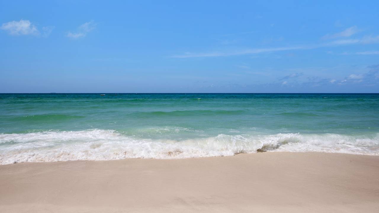 Regency Towers Grounds & Amenities Regency Towers Grounds & Amenities