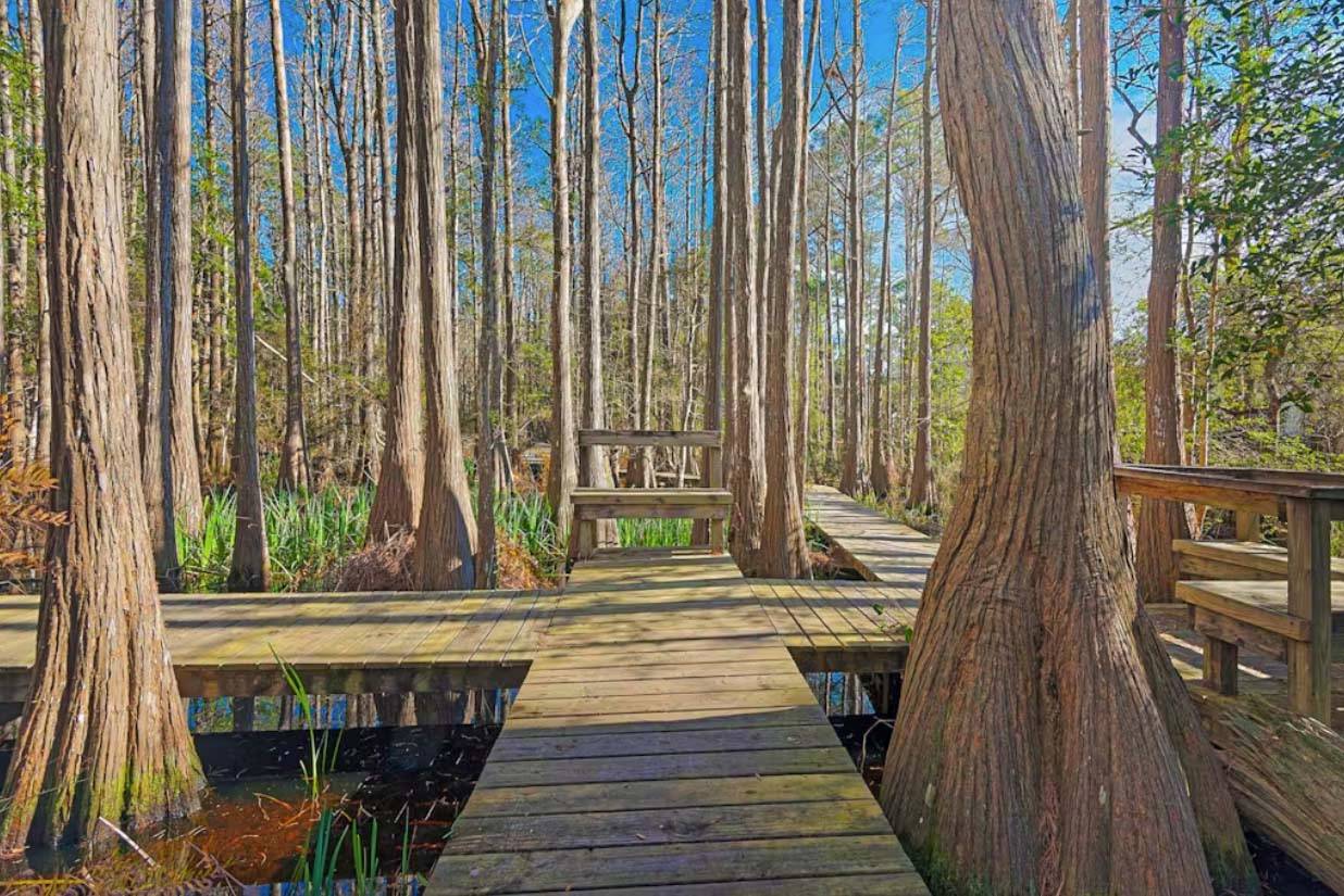 The Ocean Pearl Amenities