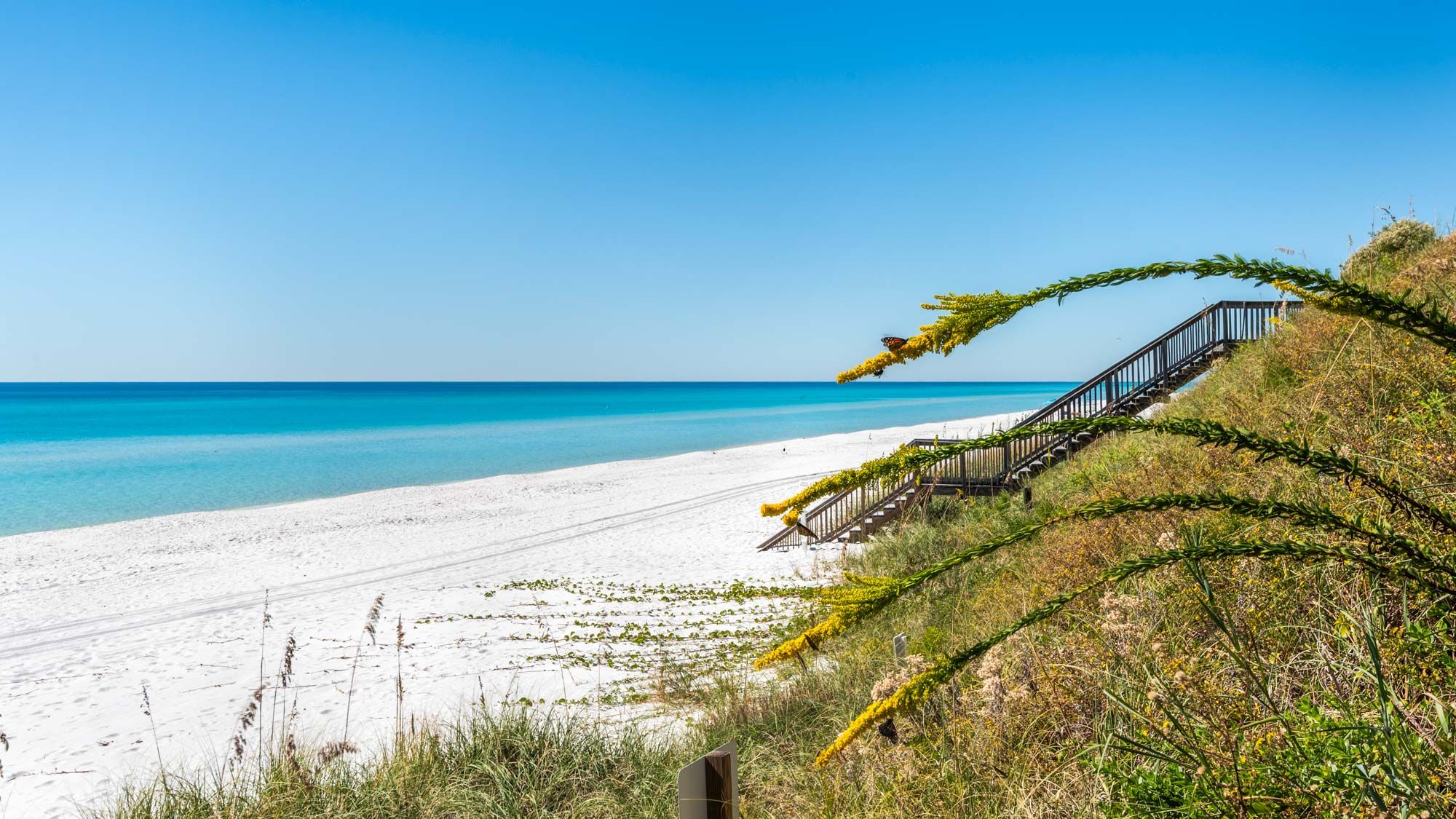 Beachside Grounds & Amenities