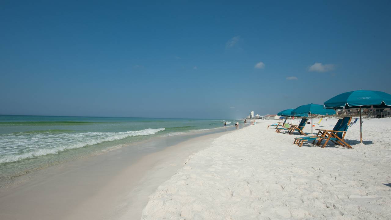 Gulf place beach area Gulf place beach area