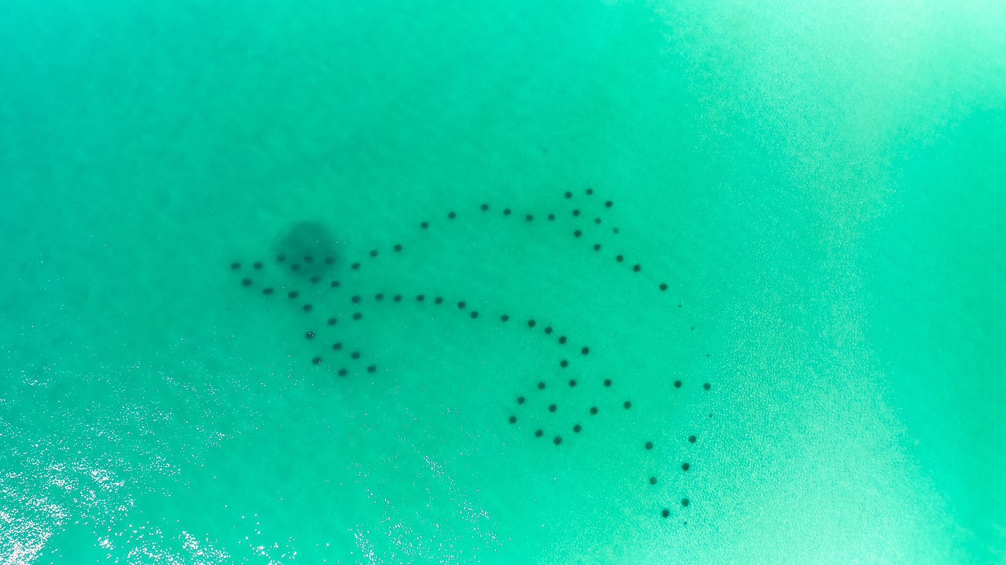 SBD212 Bungalow - Beach