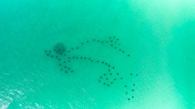 SBD212 Bungalow - Beach SBD212 Bungalow - Beach